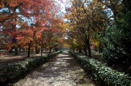 Imperial park path