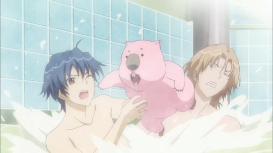 Wombat in bath