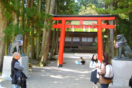 Torii and Lion-dogs