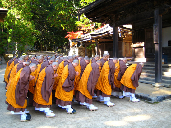 Trainee Monks