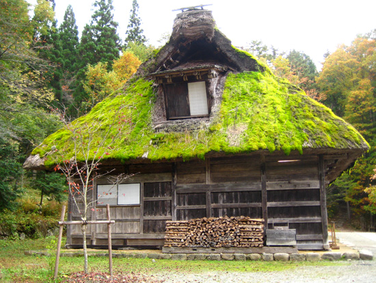 House with Green Roof