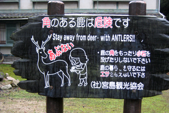 Stay Away from Deer with Antlers
