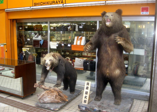 Shop Bears