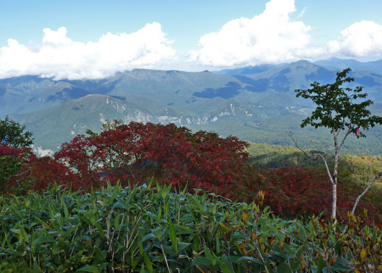 Kurodake Trail View