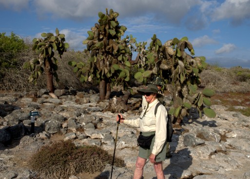 Hiker and cactus