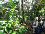 Birding in the Ecuadorian Andes–Milpe Cloud Forest Reserve – FunBlog